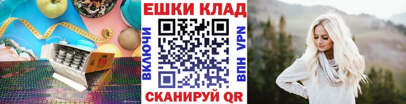 дарнет шоп  Няндома  ОМГ ОМГ маркетплейс  Экстази Philipp Plein 