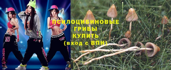 скорость Горно-Алтайск