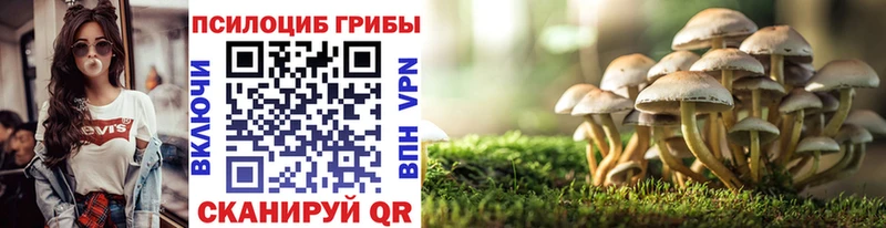 Псилоцибиновые грибы Magic Shrooms  ОМГ ОМГ как войти  Няндома 