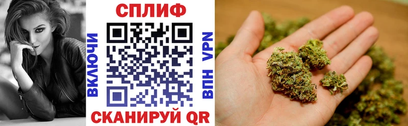 Бошки Шишки MAZAR  Няндома 